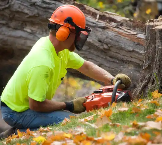 tree services Lake Orion